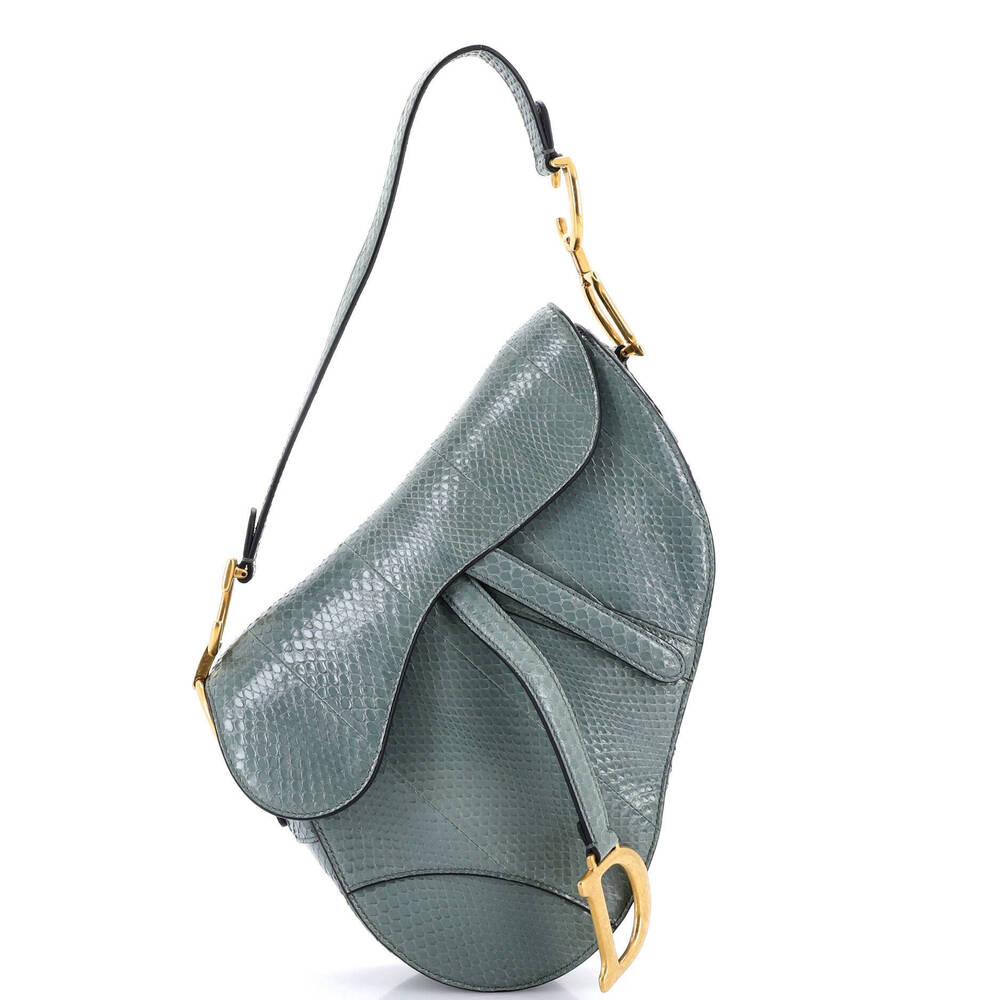 Christian Dior Medium Saddle Handbag Python